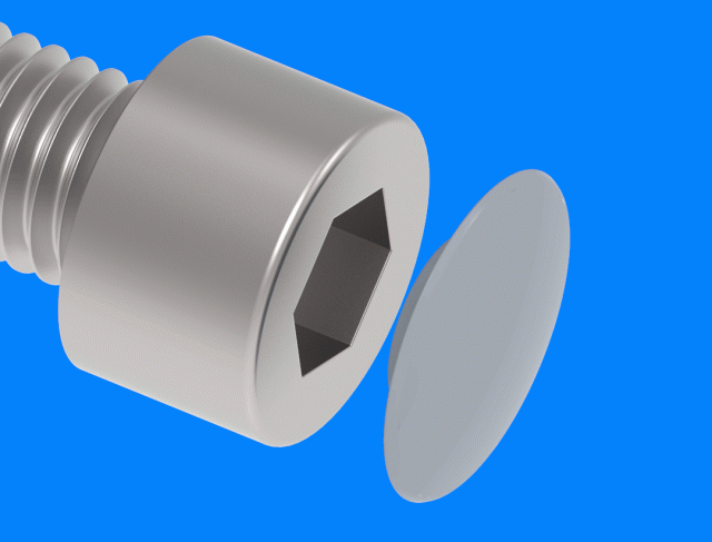 Hex head bolt caps (029)